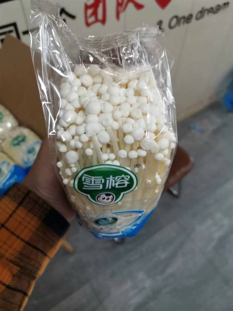 400g金针菇，适合平台超市，精品小包装