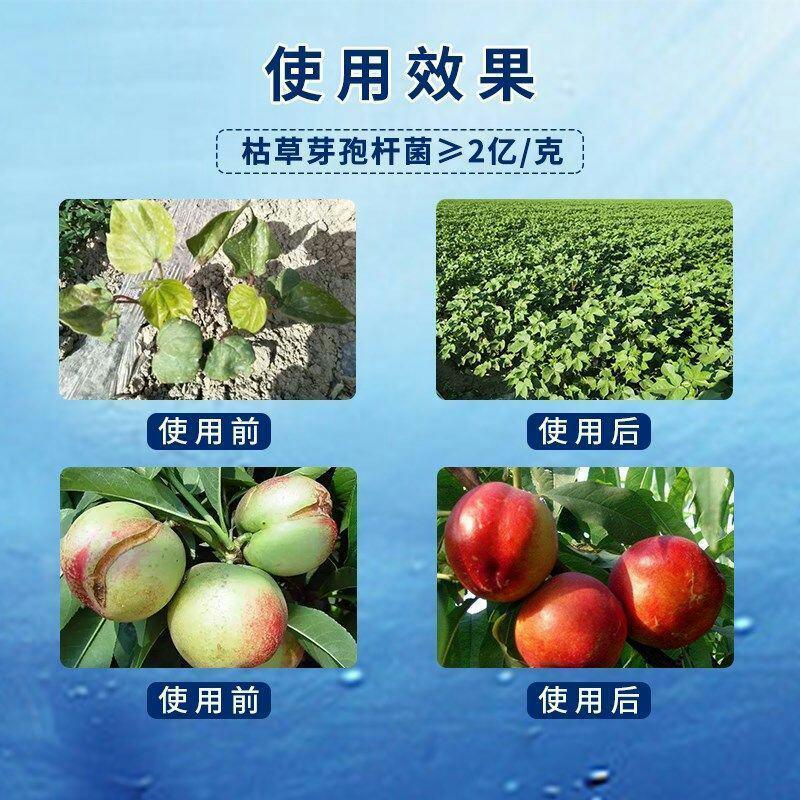 茶海虾王鱼蛋白叶面肥含氨基酸水溶肥肥料小肽鱼蛋白果树蔬菜