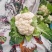 精品白花菜，质量好，乳白，越冬二百四十天里，