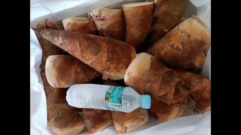 甜竹笋甜竹笋的吃法在云南非常的多样，可以凉拌、可以煎炒还