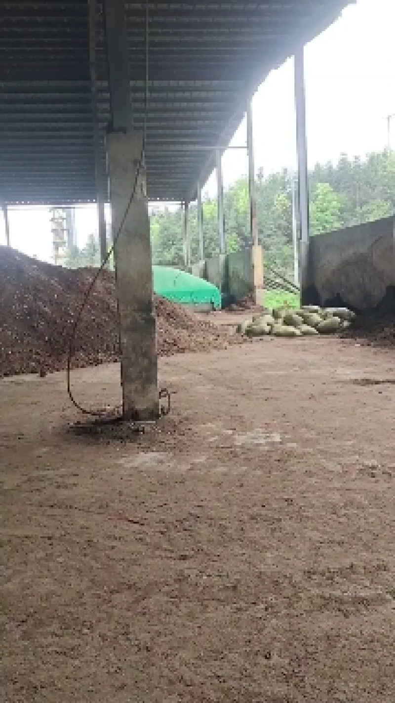 发酵谷壳鸡粪有机肥，是大棚蔬菜基地，果园基肥