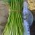 精品邳州小红帽，即将大量上市价格低苔条好