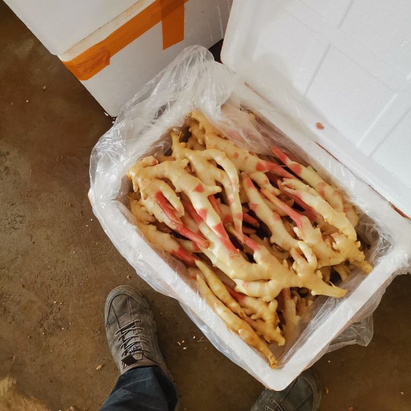 精品仔姜产地直销，重庆仔姜又白，又胖，条行又好