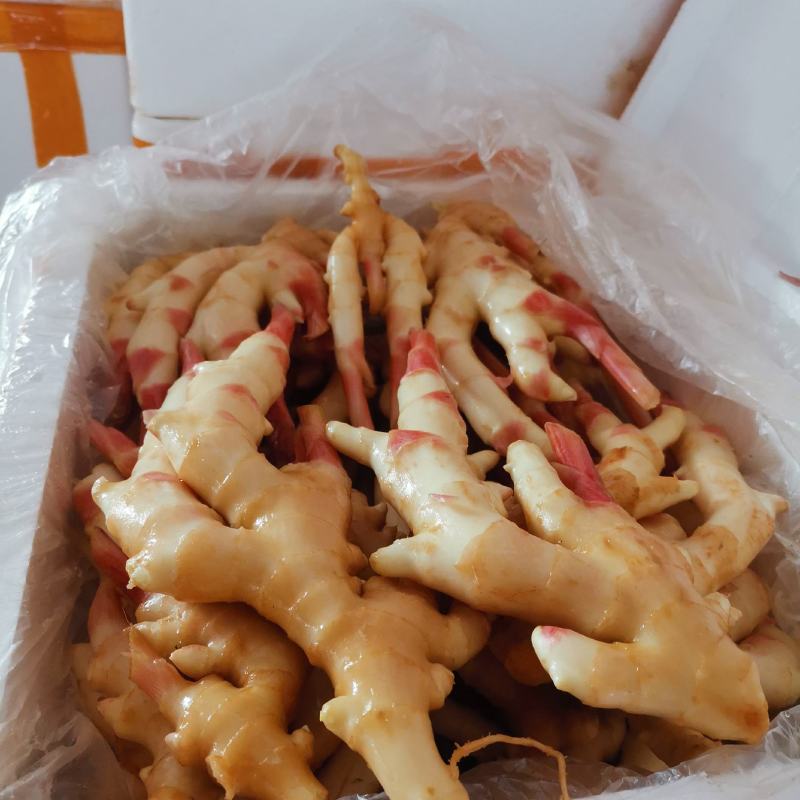 精品仔姜产地直销，重庆仔姜又白，又胖，条行又好