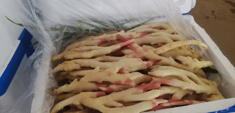 精品仔姜产地直销，重庆仔姜又白，又胖，条行又好