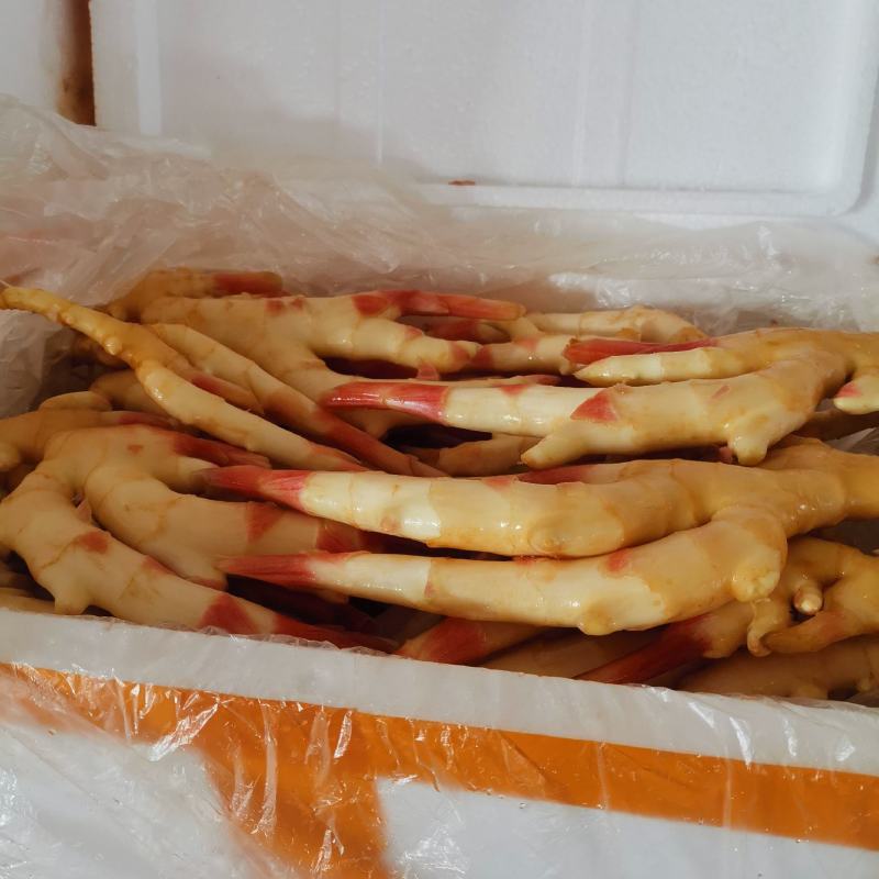 精品仔姜产地直销，重庆仔姜又白，又胖，条行又好