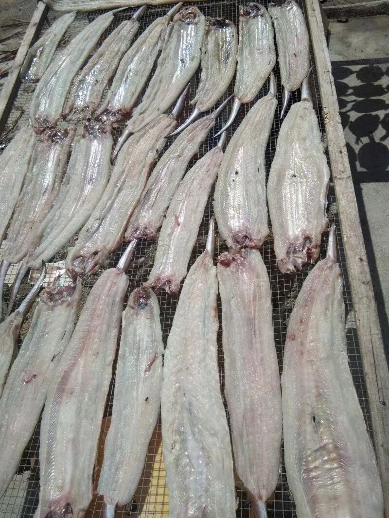 鳗鱼干