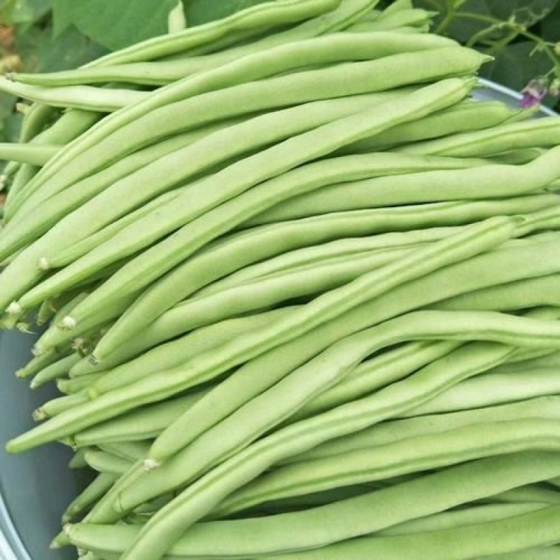 高山架子豆，绿色无公害，纯绿色蔬菜。有需要的可联系我，
