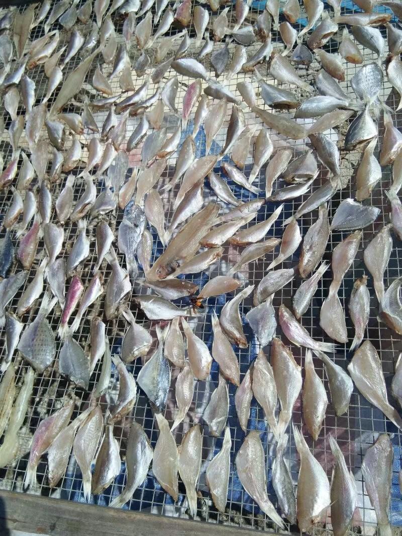 杂鱼干