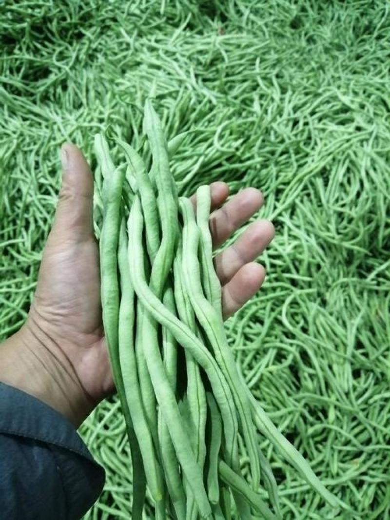 高山架子豆，绿色无公害，纯绿色蔬菜。有需要的可联系我，
