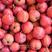 大五棱山楂全年有货保证质量坏果包赔糖葫芦专用果