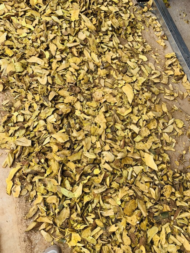 三颗针刺黄莲。有需要的联系。