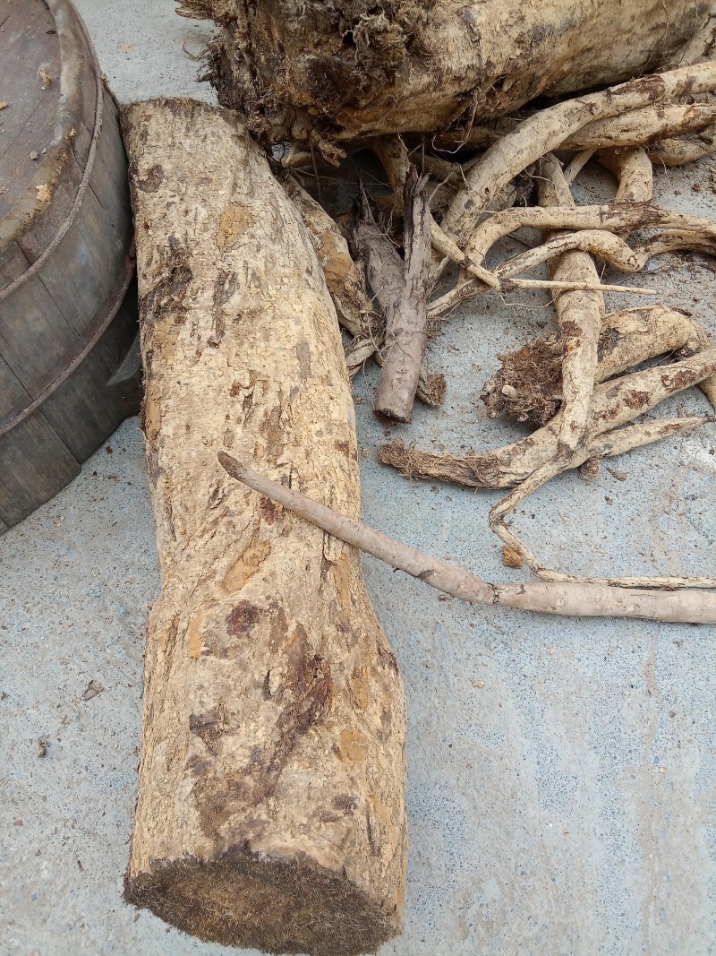 葛根柴葛粉葛干块鲜货都有
