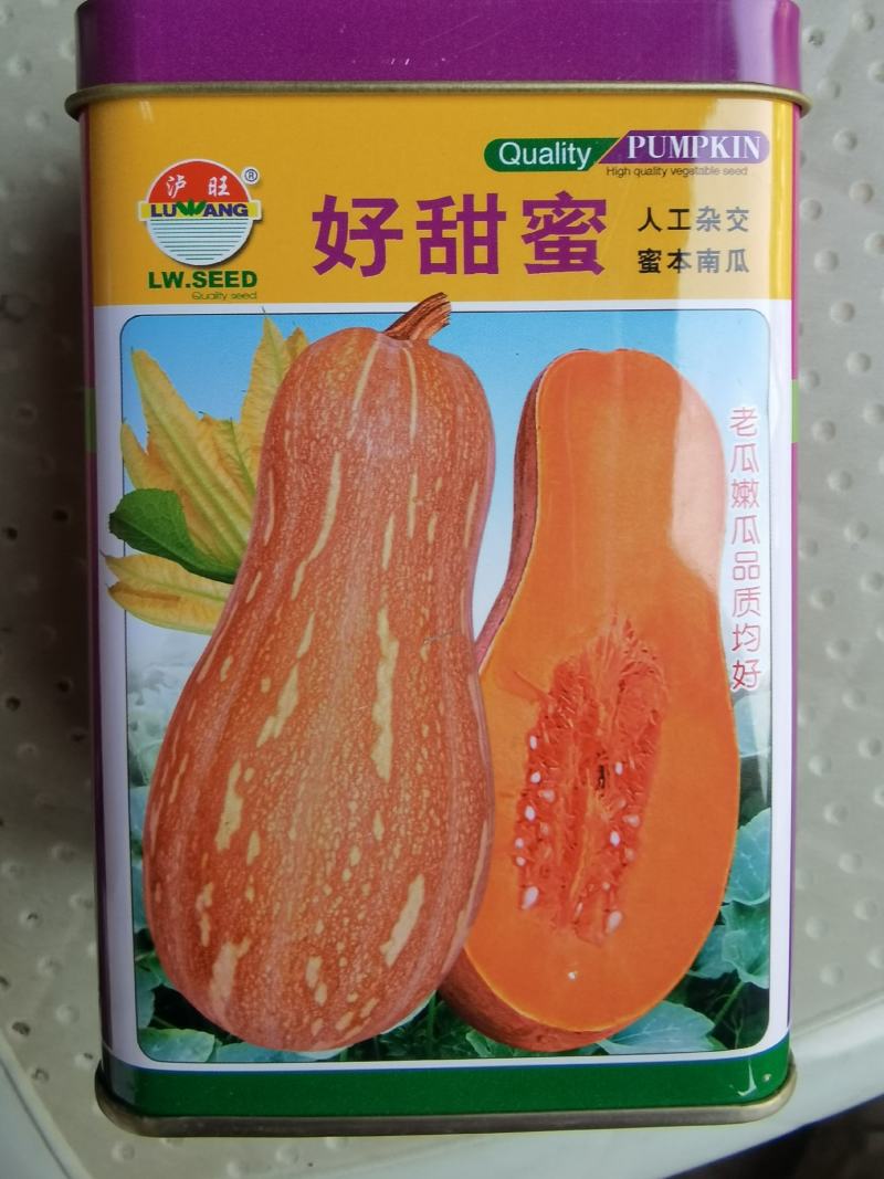 好甜蜜蜜本南瓜种子老瓜嫩瓜品质好抗病产量高