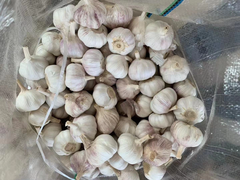 白皮蒜混级统货干蒜精品川蒜红皮，精品川蒜瓣瓣