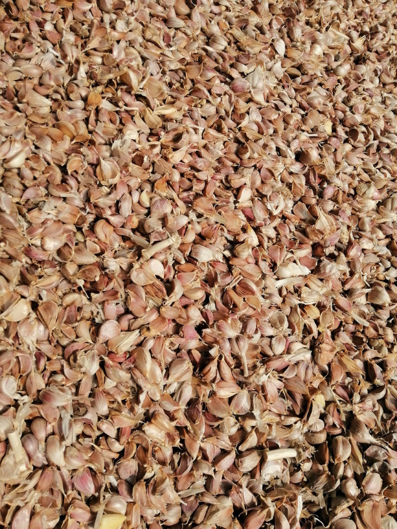 白皮蒜混级统货干蒜精品川蒜红皮，精品川蒜瓣瓣