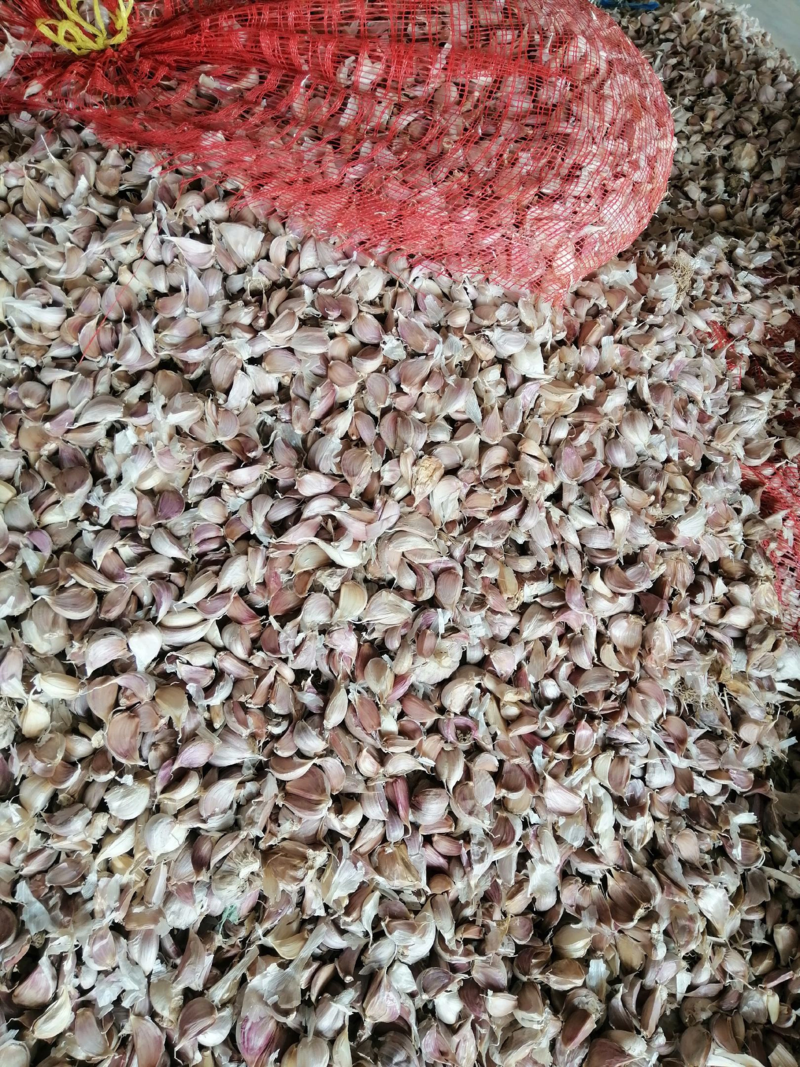 白皮蒜混级统货干蒜精品川蒜红皮，精品川蒜瓣瓣