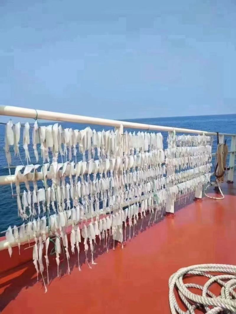【推荐】广西北部湾一晚海船晒制小鱿鱼干产地直发，品质保证