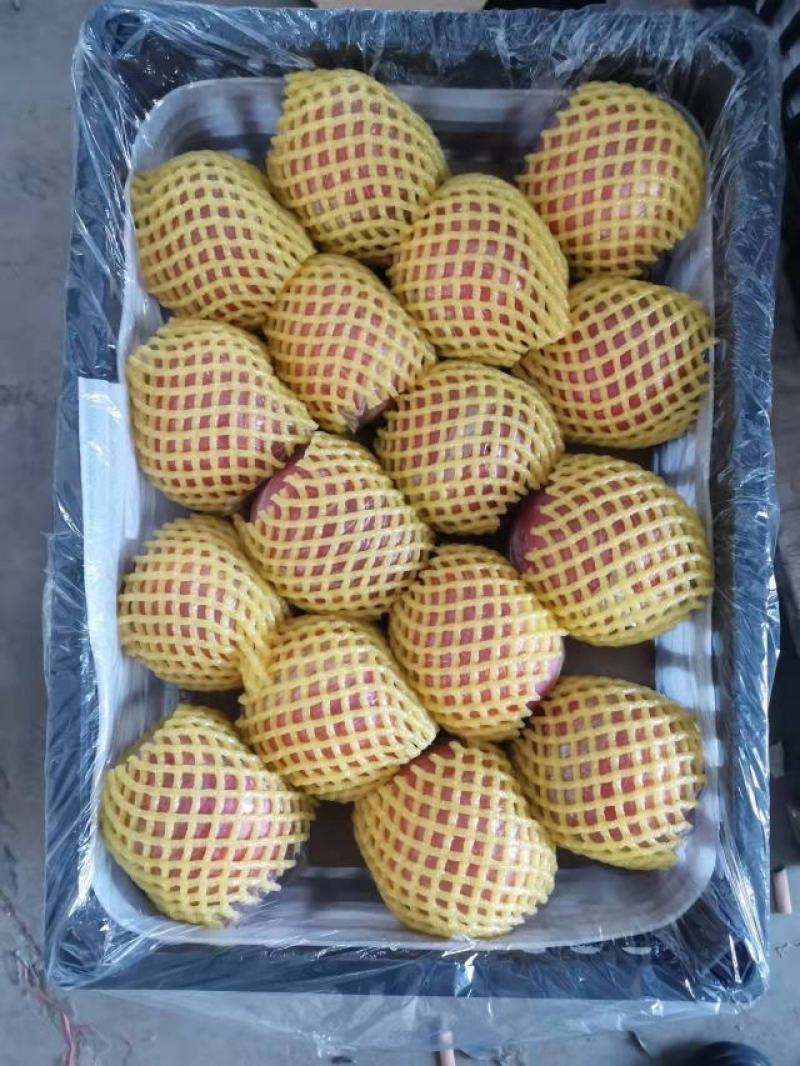 陕西纸加膜富士商品果，条纹的，片红，