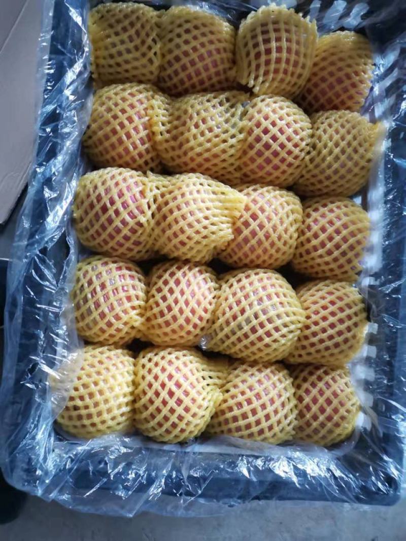 陕西纸加膜富士商品果，条纹的，片红，