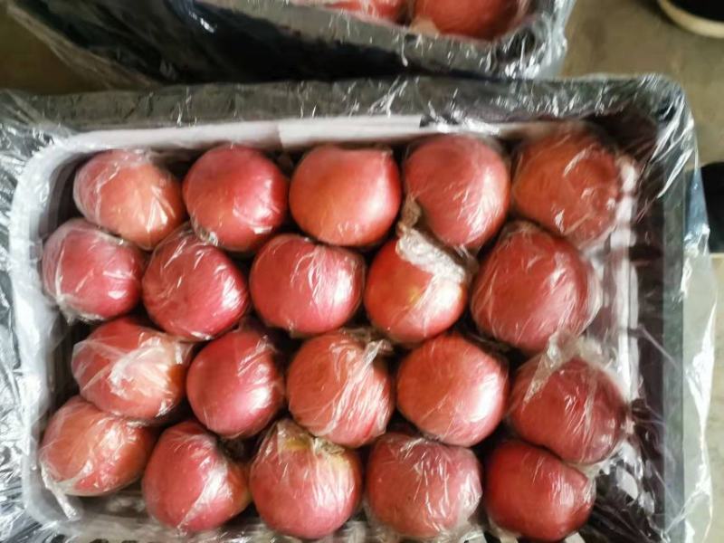 陕西纸加膜富士商品果，条纹的，片红，