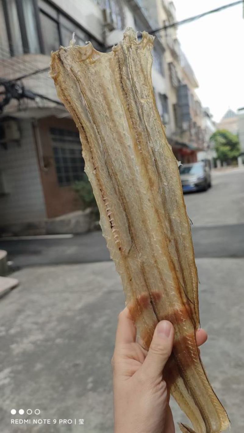 【推荐【广西精品白鳗鱼干，一手货源品质保证诚信经营