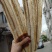 【推荐【广西精品白鳗鱼干，一手货源品质保证诚信经营