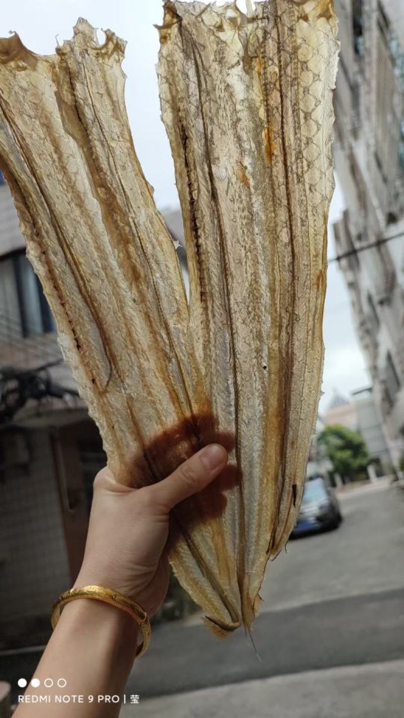 【推荐【广西精品白鳗鱼干，一手货源品质保证诚信经营