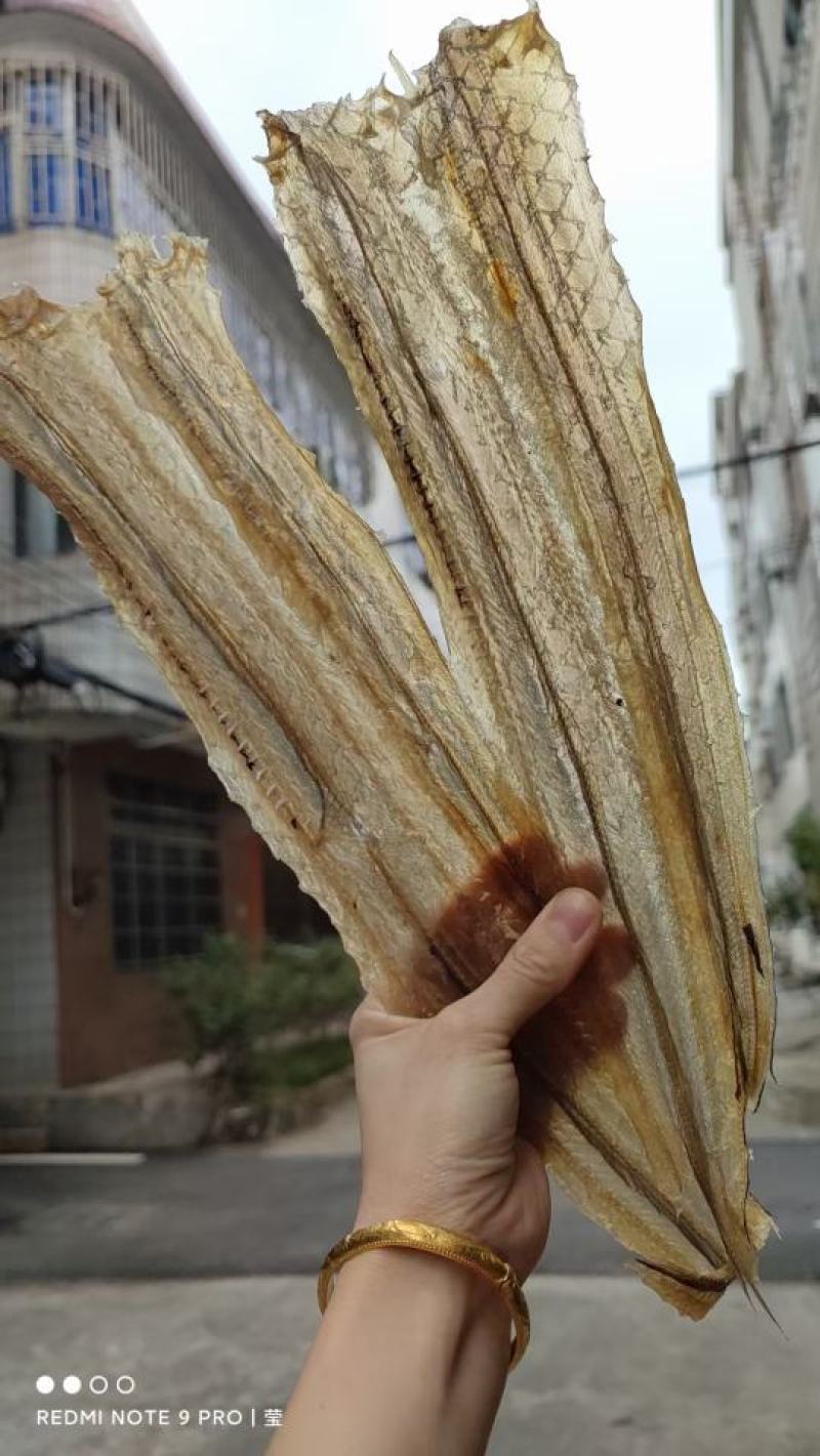 【推荐【广西精品白鳗鱼干，一手货源品质保证诚信经营