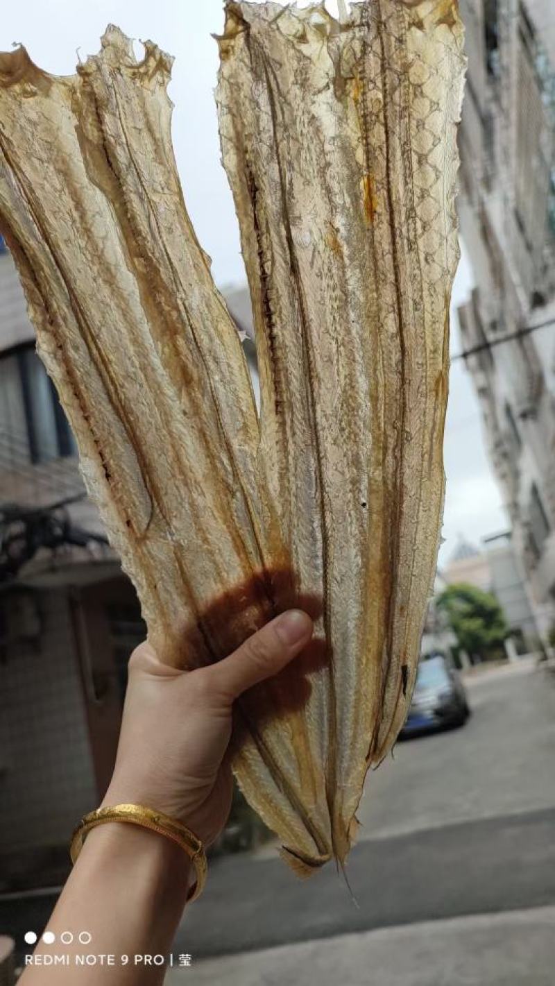 【推荐【广西精品白鳗鱼干，一手货源品质保证诚信经营