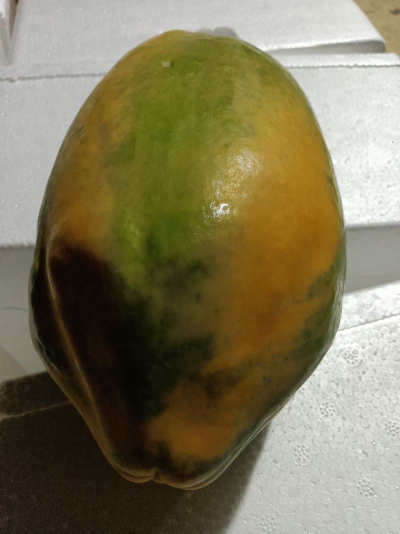 精选水果木瓜