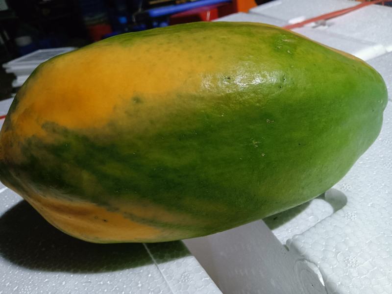 精选水果木瓜