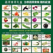 精品套菜品种齐全精美礼盒可选装14-18种蔬菜