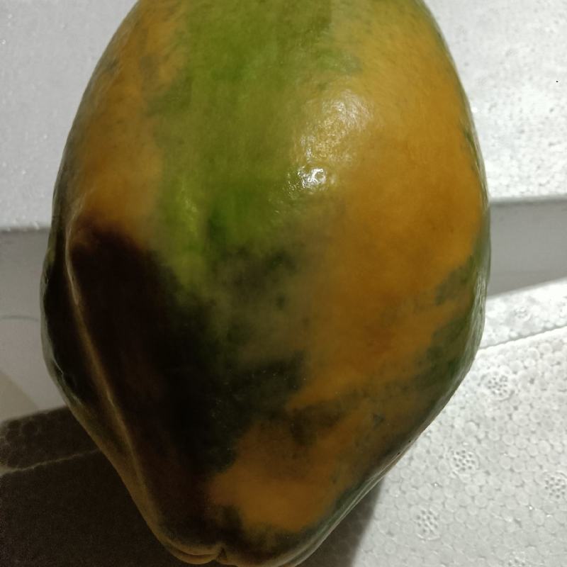精选水果木瓜
