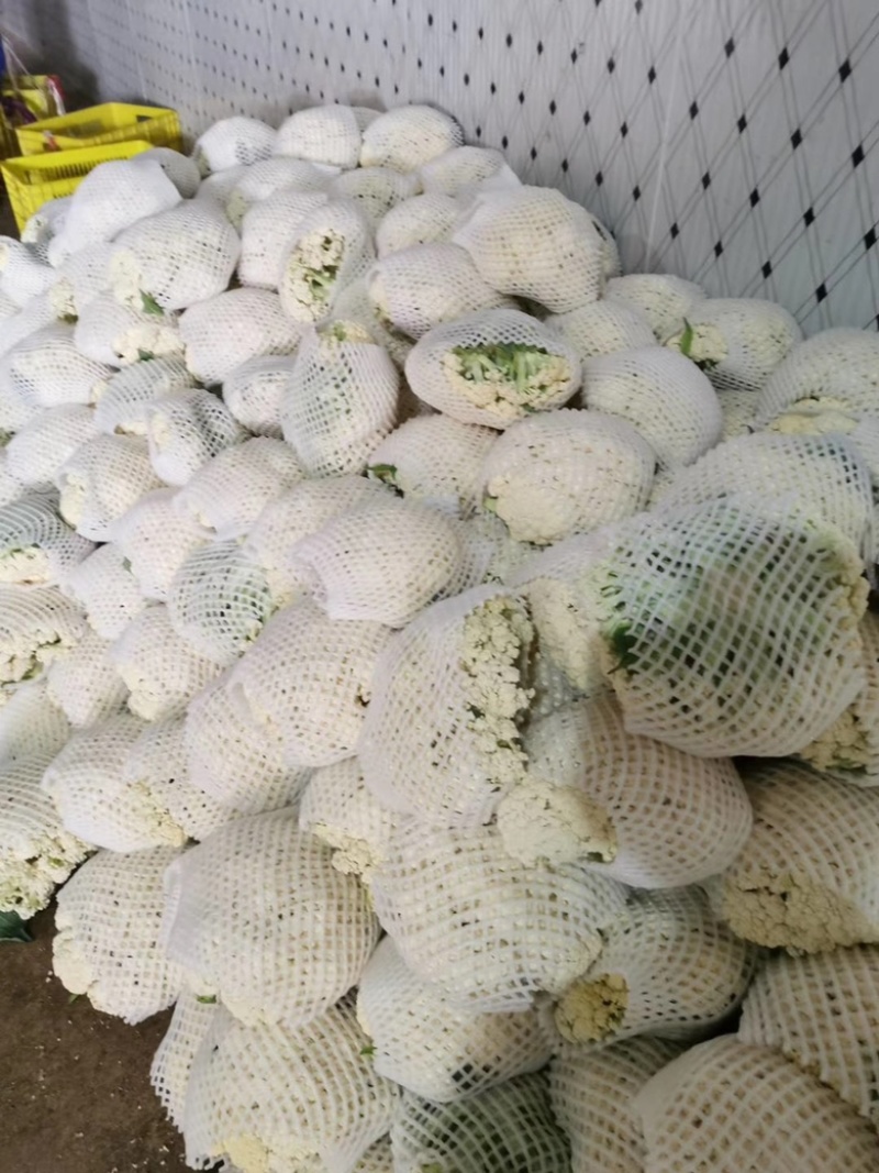 精品有机花菜大量上市，品质保证，价格优惠