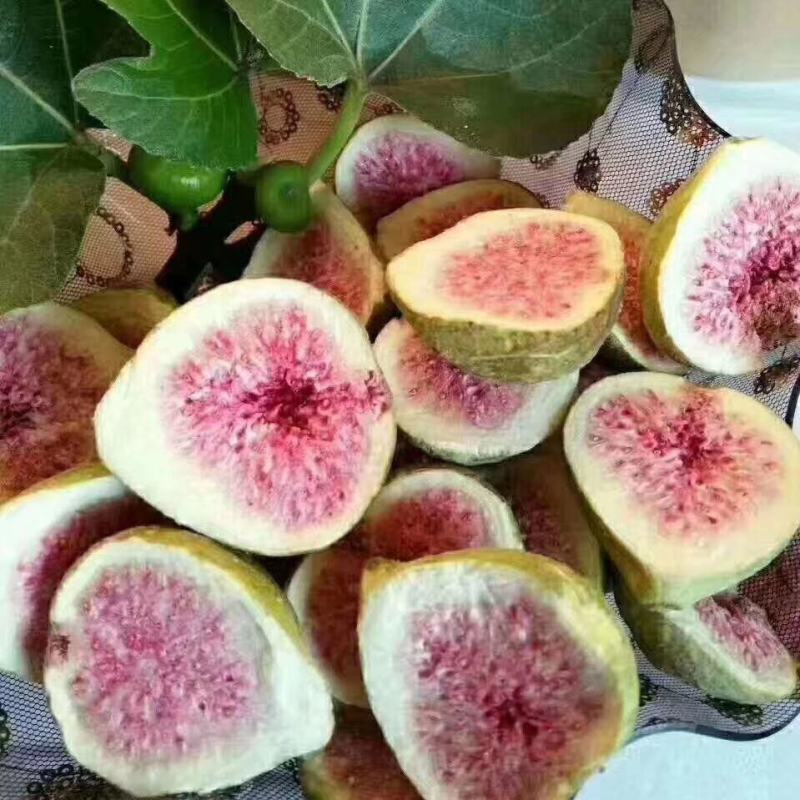 威海荣成特产青皮无花果果干烘干晒干冻干