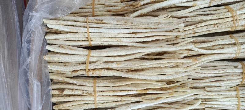 赤峰牛营子沙参