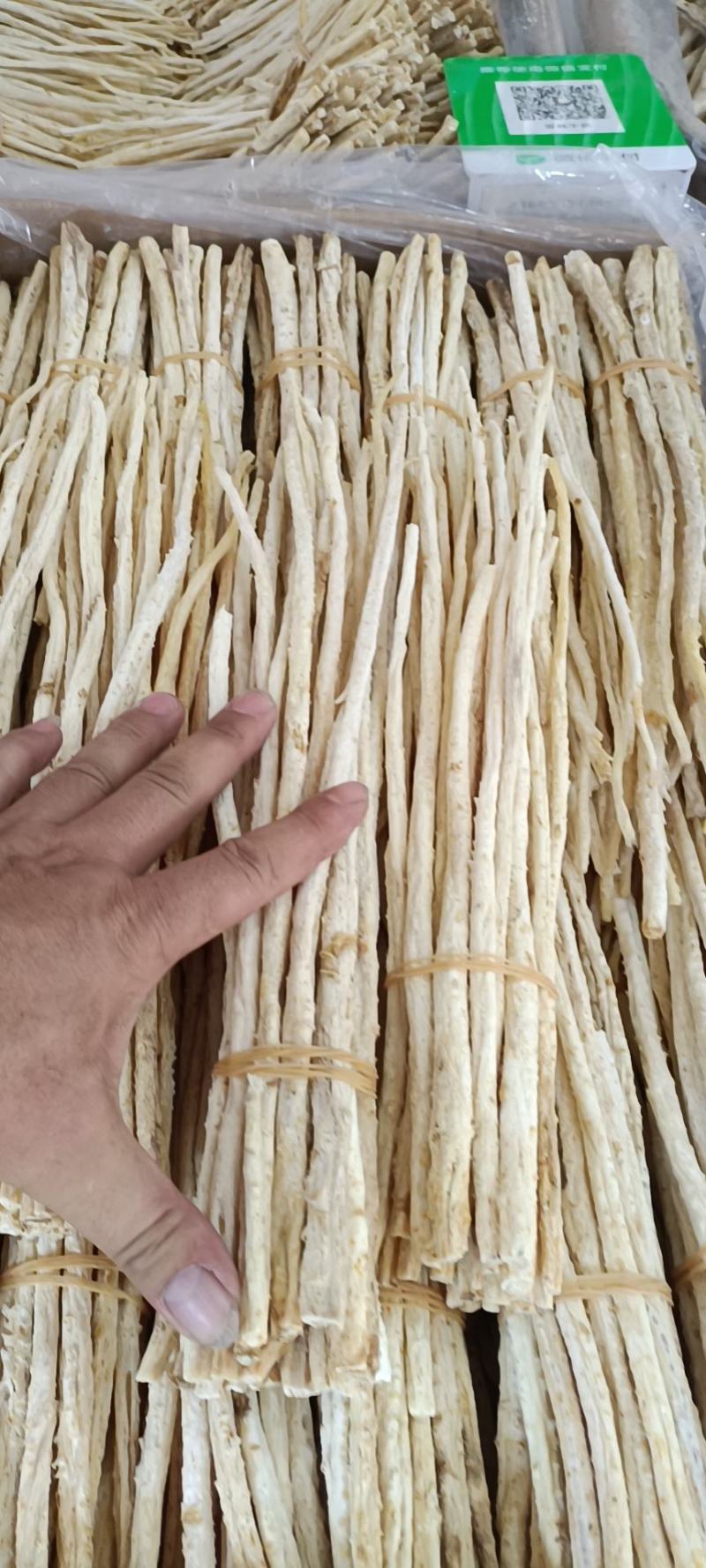 赤峰牛营子沙参