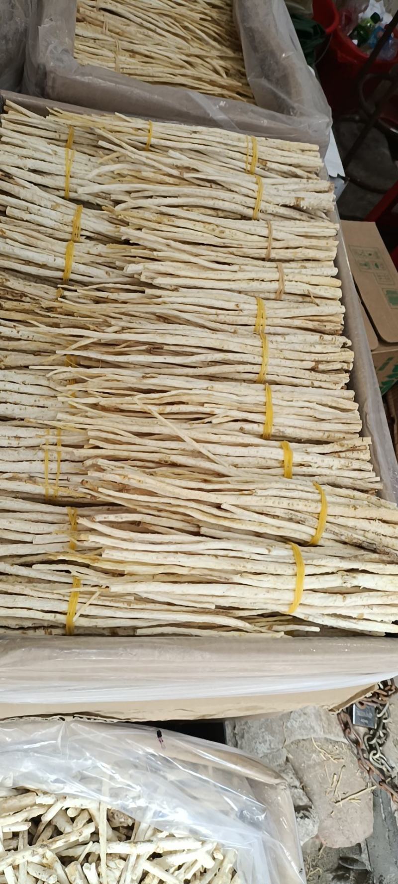 赤峰牛营子沙参