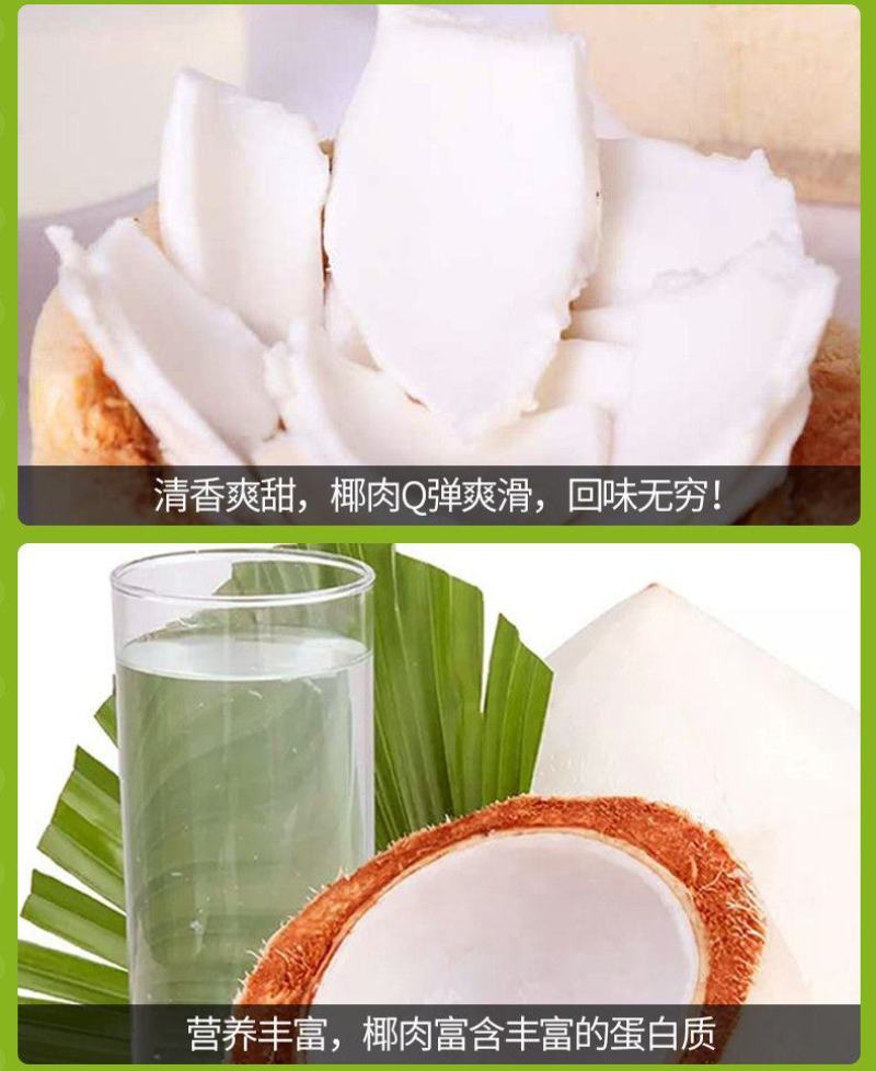 【只发泰国货】正宗奶香椰青9个装椰子新鲜水果批发赠开椰器