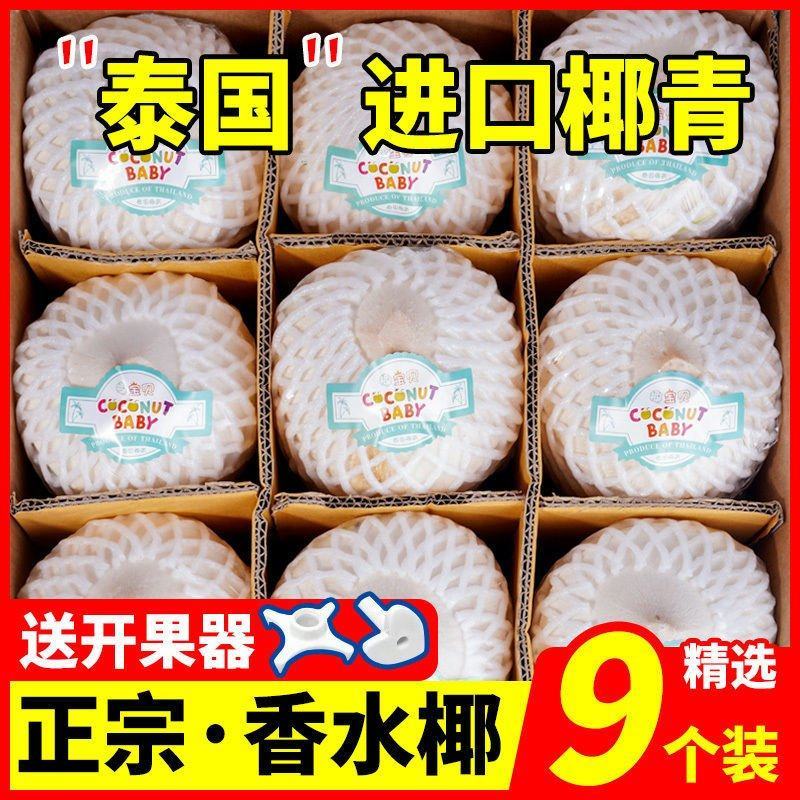 【只发泰国货】正宗奶香椰青9个装椰子新鲜水果批发赠开椰器
