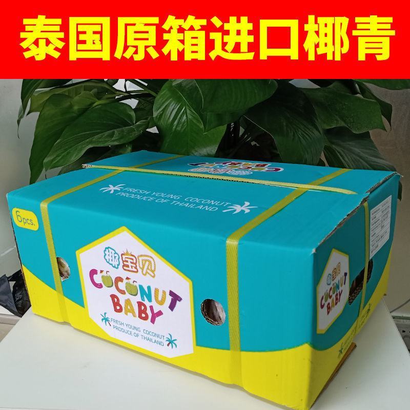 【只发泰国货】正宗奶香椰青9个装椰子新鲜水果批发赠开椰器