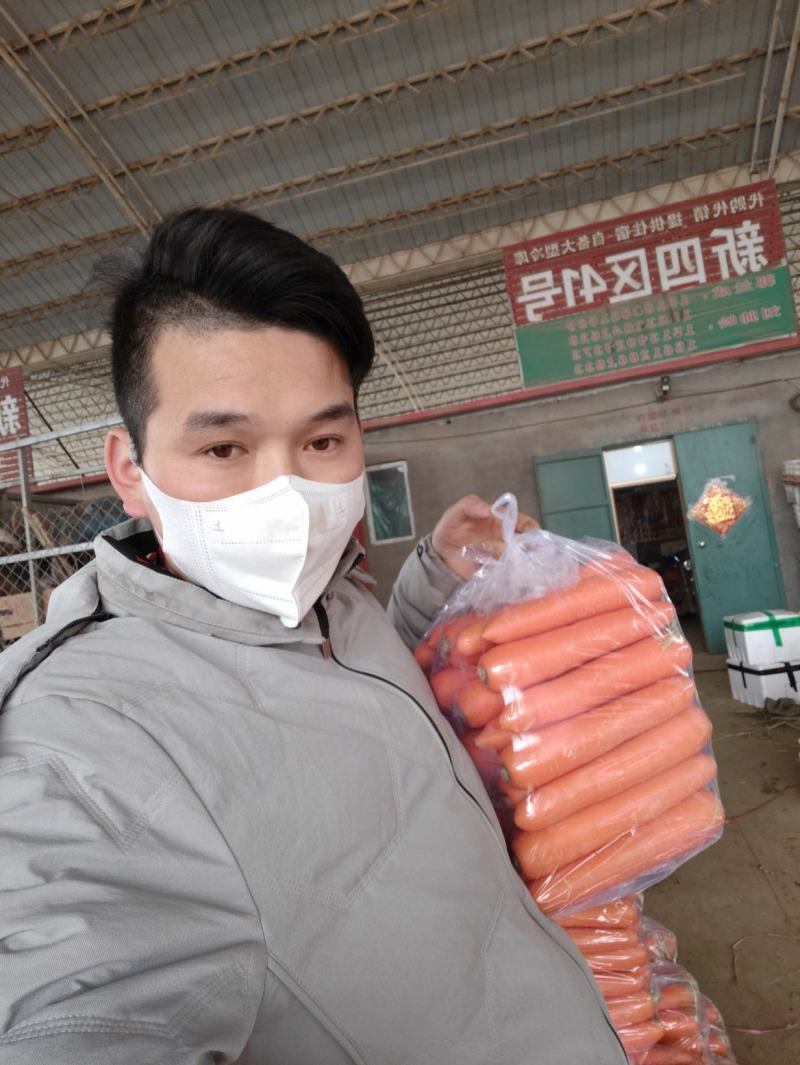精品红萝卜，一手货源，常年供应，保质保量！