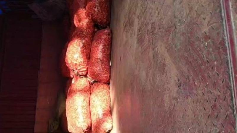 四川宜宾三江新区绿色藠头味道正品