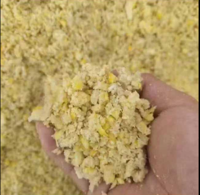 熟化玉米渣玉米渣适用于猪牛羊鸡鸭鹅