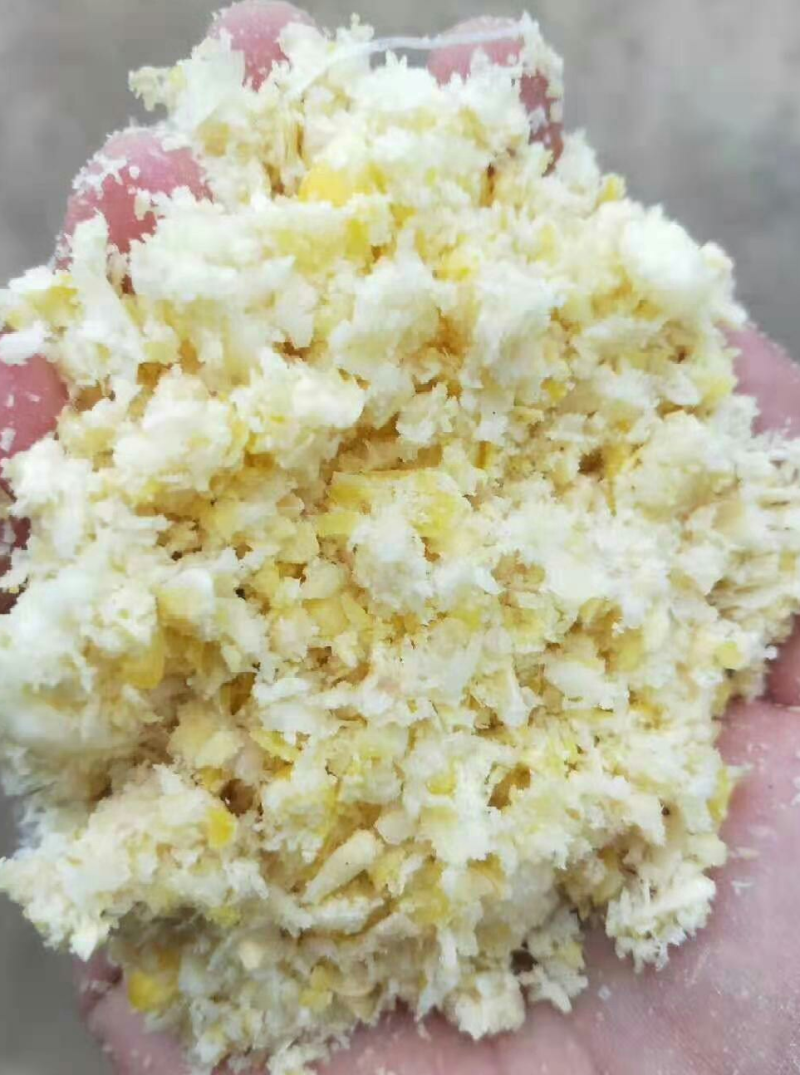熟化玉米渣玉米渣适用于猪牛羊鸡鸭鹅
