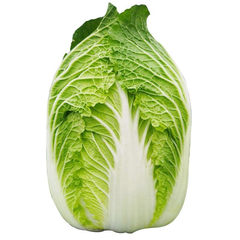 【热卖】黄心大白菜，量大价更优，欢迎各位老板进店咨询选购