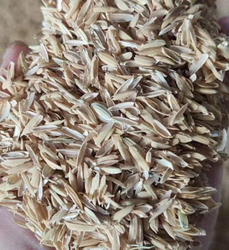 稻壳，袋装散壳压缩稻壳，养殖垫料，全国可发。