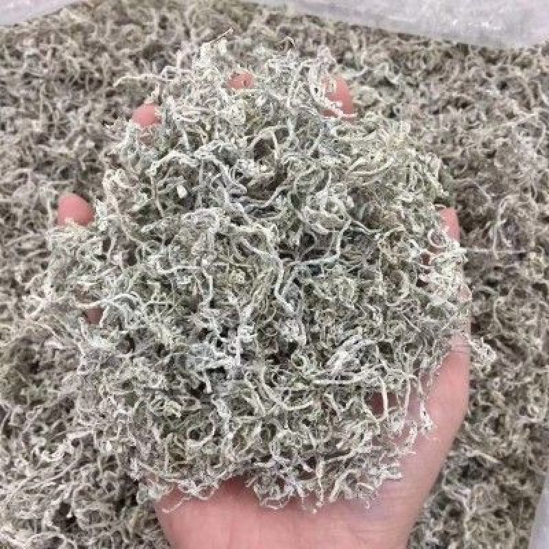 2022莓茶新品。基地直发，品质保证。养生茶。