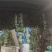 山东红尖叶莴笋，产地大量供应，质量保证量大价优，视频看货